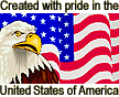 [Eagle and Flag]